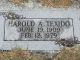 Headstone - Harold Texido